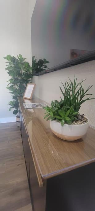 Alluring Luxury Oasis, Modern Comfort & Relaxation Wellington Extérieur photo